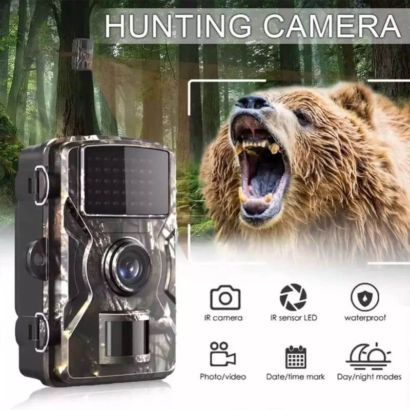 Night Vision Outdoor Wildlife Animal Cam Camera