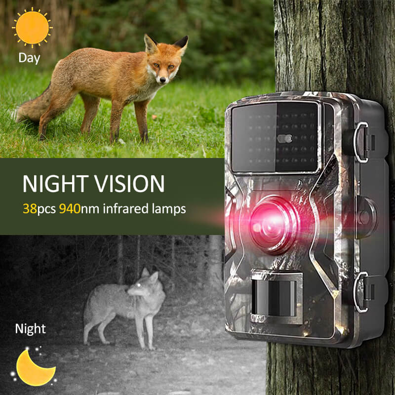 Night Vision Outdoor Wildlife Animal Cam Camera