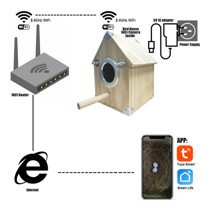 Bird Watching Nesting Feeder Nest Cam Box with Camera