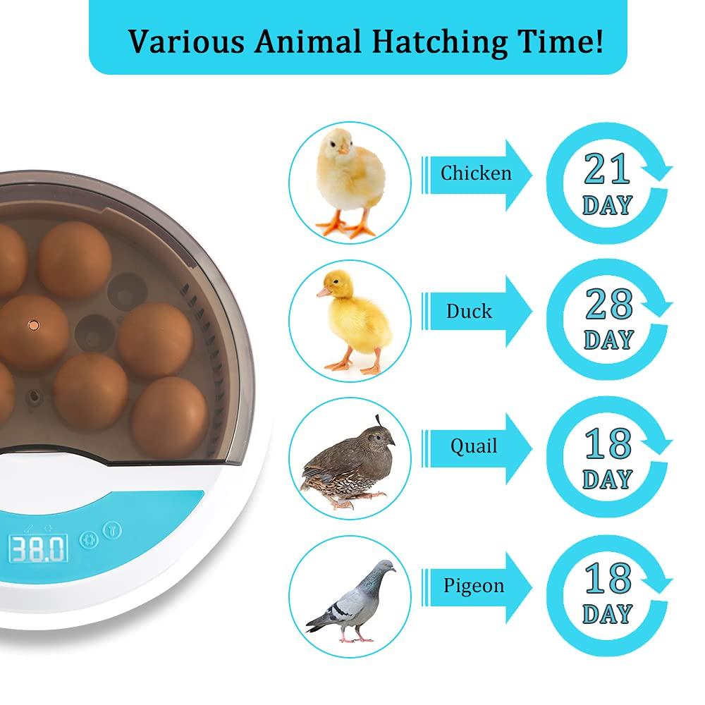 Egg Incubator for Chicken Eggs Incubator for Egg Hatching Chicks with Temp Control LED Chicken Hatcher