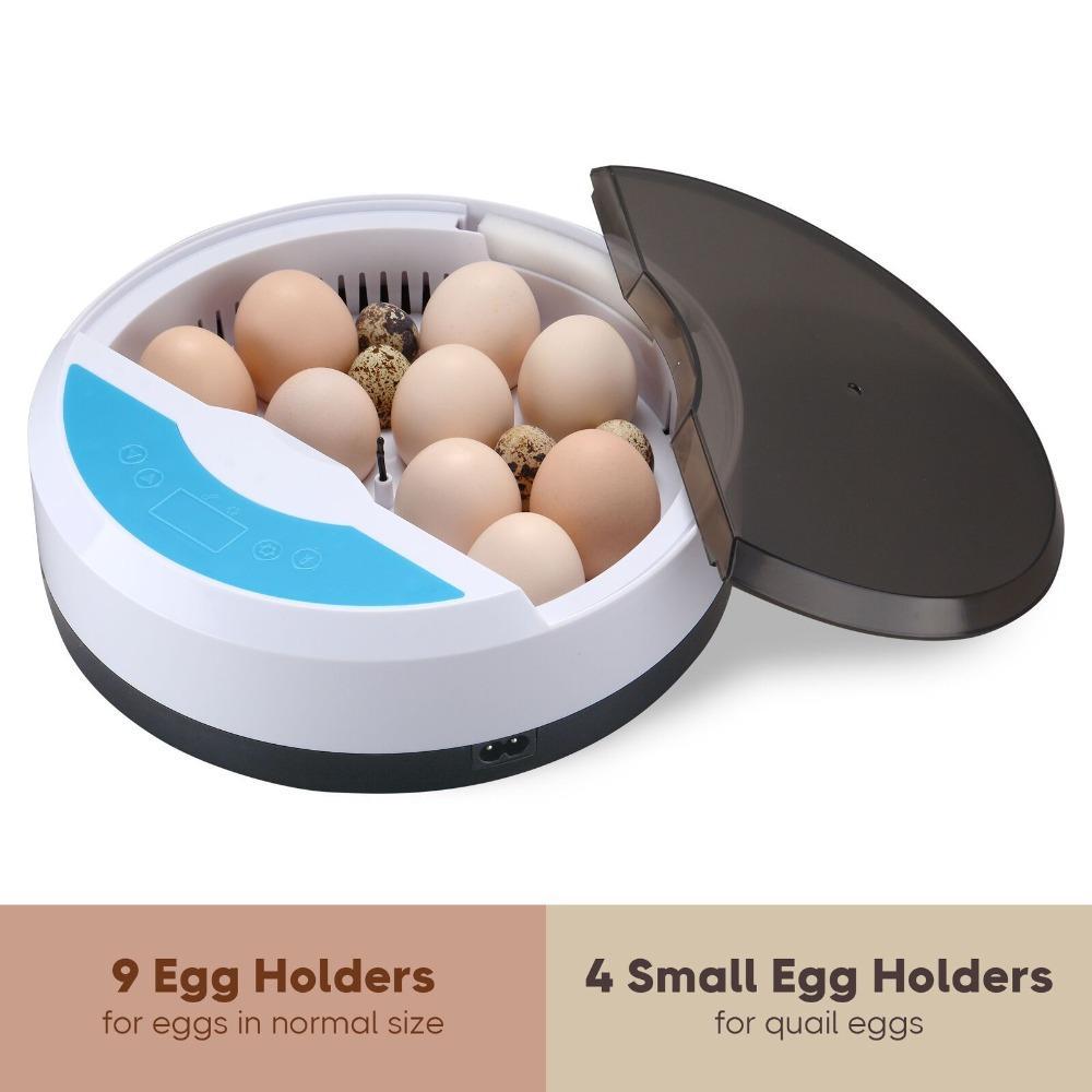 Egg Incubator for Chicken Eggs Incubator for Egg Hatching Chicks with Temp Control LED Chicken Hatcher