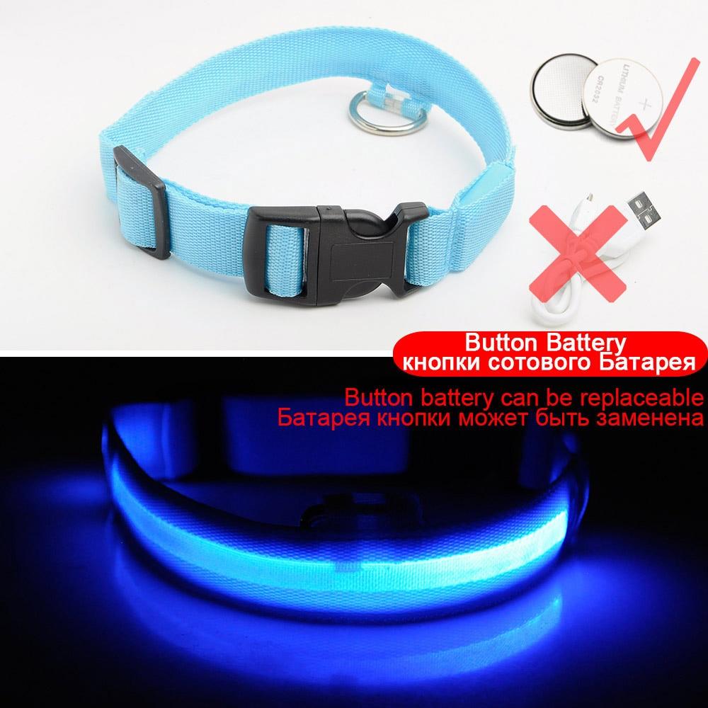 Light Up Dog Collar - Flashing Dog Collar