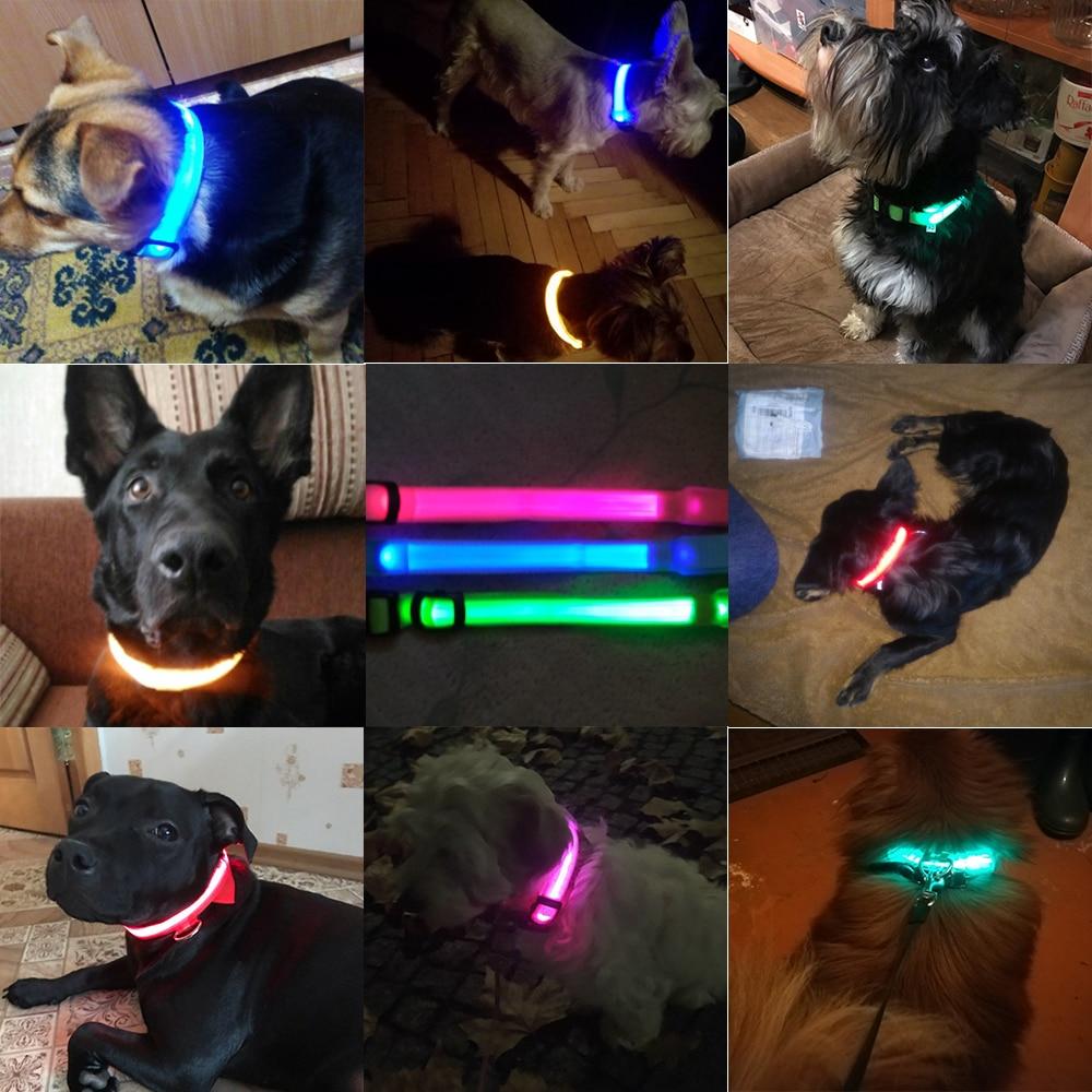 Light Up Dog Collar - Flashing Dog Collar