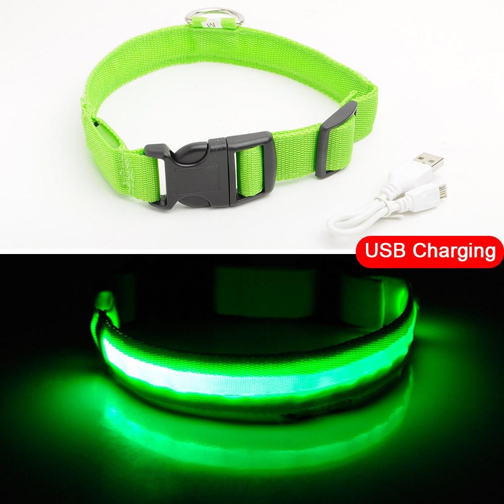 Light Up Dog Collar - Flashing Dog Collar