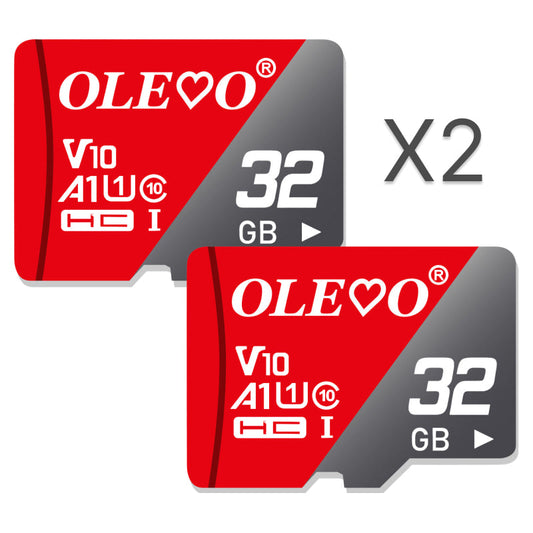 Memory Card Mini SD x2