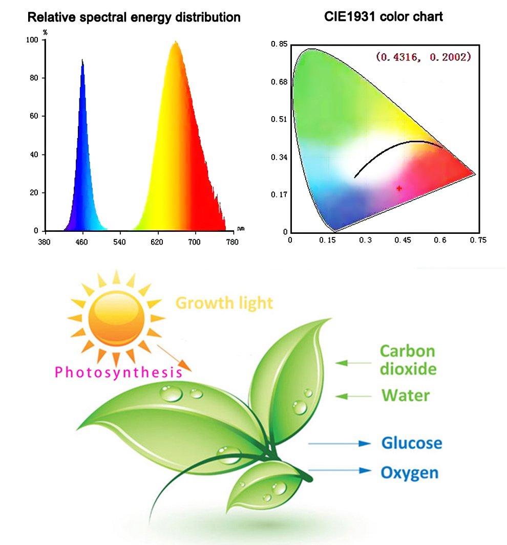 Led Grow Lights - Plant Grow Light