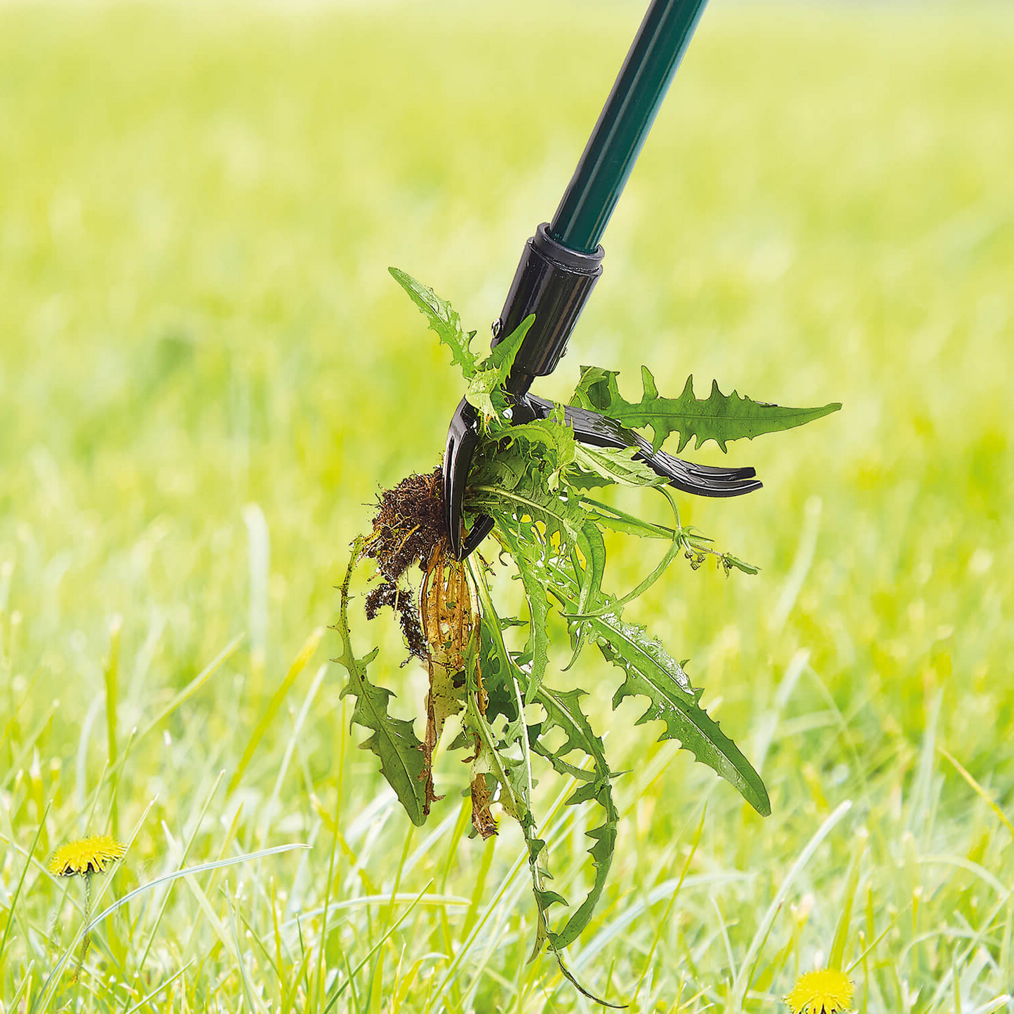 Long Handled Weed Puller Remover Weeding Tools