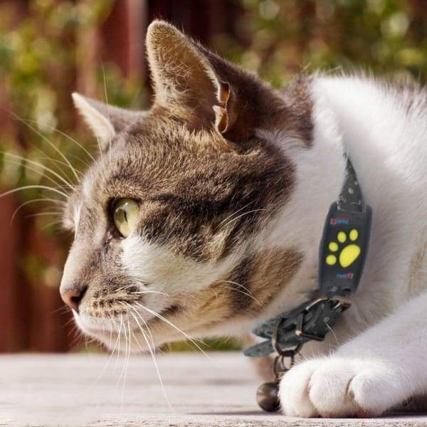 Cat GPS Tracker for Pets Locator Device Microchip